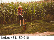 Boy child running, dog and puppy chasing across corn field. Boy loves freedom, child loves sun and sky. Dog running quickly, puppy running near. Field wide, dirt dry, sky endless, freedom alive. Стоковое фото, фотограф Юлия Киселёва / Фотобанк Лори