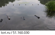 Падающая вода реки Пехорка с видом на дома (2021 год). Стоковое видео, видеограф Дмитрий Неумоин / Фотобанк Лори