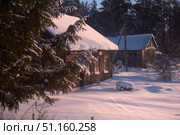 A winter rural landscape with wooden houses covered in a thick layer of snow. The snow sparkles in the rays of the setting or dawn sun, creating an atmosphere of silence and coziness. In the foreground, a spruce tree is visible, its branches covered in snow, partially obscuring the view of an old house with a snow-covered roof and windows. In the background, there is an outbuilding with an iron roof. Around lies untouched snow cover with soft shadows. The atmosphere of the frame conveys winter village life, the tranquility and beauty of Russian nature. Стоковое фото, фотограф Анна Кривицкая / Фотобанк Лори