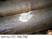 A section of concrete-insulated metal heating pipe with a broken piece of casing. Стоковое фото, фотограф Татьяна Степанищева / Фотобанк Лори