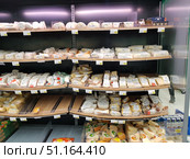 Cheese display cases in a supermarket. The shelves are filled with a large number of different types of individually packaged cheese. The products are presented in the form of pieces, bars and heads, neatly arranged in sections. The price tags show the cost and discounts, which emphasizes the atmosphere of a real store. The lighting of the display case is soft and uniform, creating an attractive look for customers. The photo reflects the assortment of a grocery store and can be used in the themes of trade, food, gastronomy, supermarkets and consumer culture. (2019 год). Редакционное фото, фотограф Анна Кривицкая / Фотобанк Лори
