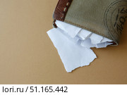 Empty wallet with pieces of paper on a plain background. Стоковое фото, фотограф Aleksandra Selivanova / Фотобанк Лори
