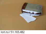 Empty wallet with pieces of paper on a plain background. Стоковое фото, фотограф Aleksandra Selivanova / Фотобанк Лори