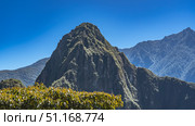 Majestic Huayna Picchu mountain against a mountain range and clear blue sky. The ancient buildings of the Incas are visible on the top. Green vegetation in the foreground. Peru. Cusco. Machu Picchu. Стоковое фото, фотограф Вера Ивановна Кубарева / Фотобанк Лори