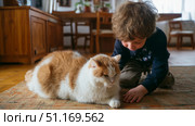 Domestic cat with signs of obesity thick belly and swollen fat muzzle. Sedentary lifestyle pet. Disease. Laziness. problems associated obesity due greater amount food treats we consume unhealthy diet. Стоковое AI-изображение, AI-художник ALLA YURTAYEVA / Фотобанк Лори