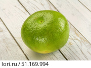 Green ripe fruit sweetie citrus. Стоковое фото, фотограф Андрей Старостин / Фотобанк Лори