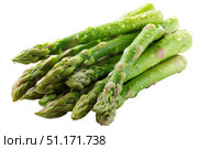Fresh green asparagus spears grouped in clusters isolated on transparent white background. Detailed texture and vibrant color. Close-up studio of group of fresh asparagus stalks arranged neatly. Стоковое AI-изображение, AI-художник Марина Демидюк / Фотобанк Лори