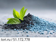 Green scoop with fertilizer blue granules. Granular chemical fertiliser for plant over soil background. Role of nutrients mineral in plants growth, soil life. Space for text. Gardening time. Planting. Стоковое AI-изображение, AI-художник Марина Демидюк / Фотобанк Лори