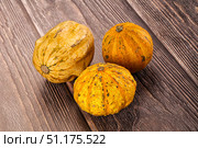 Decorative yelow pampkin seasonal vegetables. Стоковое фото, фотограф Андрей Старостин / Фотобанк Лори