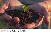 Slow-motion close-up of Caucasian hands holding fertile soil with a newborn plant; warm sunset bokeh — clean 4K 16:9 clip for green initiatives and education. Стоковое AI-видео, аниматор Владислав Войтов / Фотобанк Лори