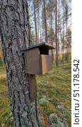 A wooden birdhouse fixed to a pine tree trunk in the forest. The structure is made of dark boards with a small roof to protect from rain. The house is fixed with a vertical bar and firmly screwed to the tree. Around is forest nature: tall slender pines, the ground covered with moss and lichens, soft sunlight breaking through the trees. The atmosphere of the photo is calm and natural, it emphasizes the care for birds and the preservation of the ecosystem. Стоковое фото, фотограф Анна Кривицкая / Фотобанк Лори