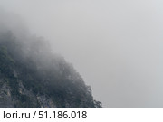 Mountain forest shrouded in dense fog, casting ethereal shadows and veiling landscape with misty, serene ambiance. Стоковое фото, фотограф Данил Руденко / Фотобанк Лори
