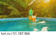 Enjoy a tropical cocktail in a glass beside a pineapple and lush greenery during a stunning sunset by the poolside. Стоковое AI-видео, аниматор Данила Большаков / Фотобанк Лори