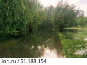 High water in city park after heavy rains, flooded sidewalk. Стоковое фото, фотограф Евгений Харитонов / Фотобанк Лори