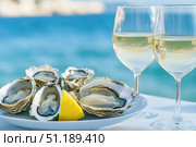 A Delicious Pairing of Fresh Oysters and Crisp White Wine Set Against a Stunning Coastal Background, Perfect for a Gourmet Experience. Стоковое AI-изображение, AI-художник Башкирова Анна / Фотобанк Лори