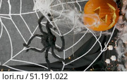 Pumpkin and black spider on a white web with flashing lights, Halloween holiday concept. Стоковое видео, видеограф Катерина Белякина / Фотобанк Лори