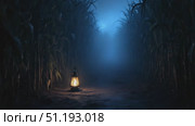 Lantern illuminating a misty cornfield path, creating an enchanting atmosphere of mystery. Стоковое AI-видео, аниматор Данил Руденко / Фотобанк Лори