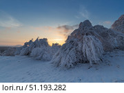 Scenery of snow covered trees at sunset in the park of resort Pyatigorsk (2023 год). Стоковое фото, фотограф Юлия Белоусова / Фотобанк Лори