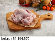 Raw small chicken Gherkin for cooking. Стоковое фото, фотограф Андрей Старостин / Фотобанк Лори
