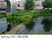 Artificial floodplain biome in the city park Zaryadye in Moscow, integration of natural and urban environments. Редакционное фото, фотограф Евгений Харитонов / Фотобанк Лори