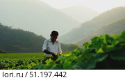 A dedicated farmer harvests crops in expansive green fields as the sun sets behind majestic mountains, showcasing rural life in harmony with nature. Стоковое AI-видео, аниматор Данила Большаков / Фотобанк Лори