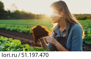 A woman carefully checks her thriving crops during sunset, emphasizing the beauty of sustainable agriculture in a serene field setting. Стоковое AI-видео, аниматор Данила Большаков / Фотобанк Лори