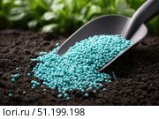Green scoop with fertilizer blue granules. Granular chemical fertiliser for plant over soil background. Role of nutrients mineral in plants growth, soil life. Space for text. Gardening time. Planting. Стоковое AI-изображение, AI-художник Марина Демидюк / Фотобанк Лори