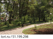 New paths in the summer green park. Biryuch, Belgorod Region, Russia. Стоковое фото, фотограф irisff / Фотобанк Лори