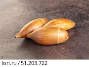 Ripe shallot onion for cooking. Стоковое фото, фотограф Андрей Старостин / Фотобанк Лори