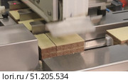 conveyor at a confectionery factory coating wafer plates with chocolate mass and assembling wafers. Стоковое видео, видеограф Алексей Сергеев / Фотобанк Лори
