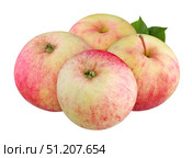 Apple isolated on white background with clipping path. Стоковое фото, фотограф Дмитрий Цветков / Фотобанк Лори