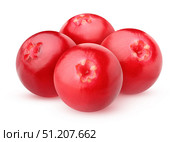 Lingonberry isolated on a white background. Стоковое фото, фотограф Дмитрий Цветков / Фотобанк Лори
