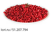 Ripe forest lingonberries on a plate. Стоковое фото, фотограф Дмитрий Цветков / Фотобанк Лори