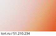 Warm Orange Abstract Background with Flowing Lines Geometric Waves and Circles. Стоковая анимация, аниматор Mihail Mihaylov / Фотобанк Лори