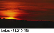 Timelapse of the sunset over the treetops. Стоковое видео, видеограф Артем Шадрин / Фотобанк Лори