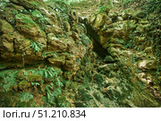 A miniature cave or grotto covered with moss. Speleology and surveys. Стоковое фото, фотограф Наталия Кирсанова / Фотобанк Лори