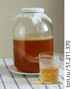 Homemade kombucha fermenting in glass jar with a glass of kombucha tea. Стоковое фото, фотограф Дмитрий Цветков / Фотобанк Лори