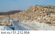 warehousing of logs on logging. Стоковое видео, видеограф Алексей Сергеев / Фотобанк Лори