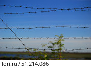 A fragment of barbed wire against a blue sky. Several rows of metal wire with sharp spikes are stretched horizontally and diagonally, forming a barrier. In the slightly blurred background, green vegetation and a landscape with a pond are visible, which emphasizes the contrast between nature and an artificial barrier. The image symbolizes the restriction of freedom, boundaries, protection and isolation, and can also be used in a metaphorical context - obstacles, protection or separation. Стоковое фото, фотограф Анна Кривицкая / Фотобанк Лори
