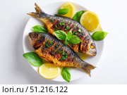 Grilled fish on a white plate, top view, wooden backdrop. Fried fish with slice of lemon and fresh herbs, olive oil. Snapper or sea bream on kitchen table. For cooking background or menu design. Стоковое AI-изображение, AI-художник Марина Демидюк / Фотобанк Лори