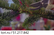 Craftswoman carefully cuts off the excess spruce branches in order to give the bouquet the right shape for decoration in the house. Стоковое видео, видеограф Strunov David / Фотобанк Лори