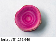 Piked spurdog (Squalus megalops) vertebrae with red dye to show growth rings. VW Pics/Stocktrek Images/TASS. Стоковое фото, агентство ТАСС / Фотобанк Лори