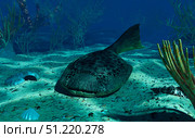 A Drepanaspis on the bottom of a shallow Devonian sea. Walter Myers/Stocktrek Images/TASS. Стоковое фото, агентство ТАСС / Фотобанк Лори