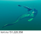 Marine predators of the Cretaceous period. Walter Myers/Stocktrek Images/TASS. Стоковое фото, агентство ТАСС / Фотобанк Лори