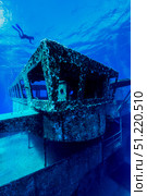 A freediver descends to the USS Kittiwake, Grand Cayman, Cayman Islands. Jennifer Idol/Stocktrek Images/TASS. Стоковое фото, агентство ТАСС / Фотобанк Лори