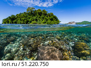 Over-under scene in Kimbe Bay, Papua New Guinea. Bruce Shafer/Stocktrek Images/TASS. Стоковое фото, агентство ТАСС / Фотобанк Лори