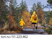 Tourism. Hiking. Ladoga skerries. Father and son tourists in yellow raincoats on stone islands in the forest. Republic of Karelia, Russia. Стоковое фото, фотограф Photojuli / Фотобанк Лори