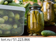 Fresh cucumbers in a basket and crispy pickled cucumbers in a transparent glass jar. Pickled cucumbers with dill and garlic. Delicious canned vegetables. Cucumbers for the winter. Стоковое фото, фотограф Photojuli / Фотобанк Лори