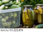 Fresh cucumbers in a basket and crispy pickled cucumbers in a transparent glass jar. Pickled cucumbers with dill and garlic. Delicious canned vegetables. Cucumbers for the winter. Стоковое фото, фотограф Photojuli / Фотобанк Лори
