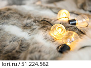 Garland lamps lie on fluffy, cozy fur blanket. Стоковое фото, фотограф Aleksandra Selivanova / Фотобанк Лори